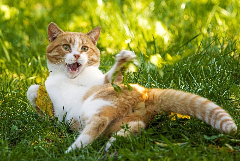 Photograph by Алексей Сиваков