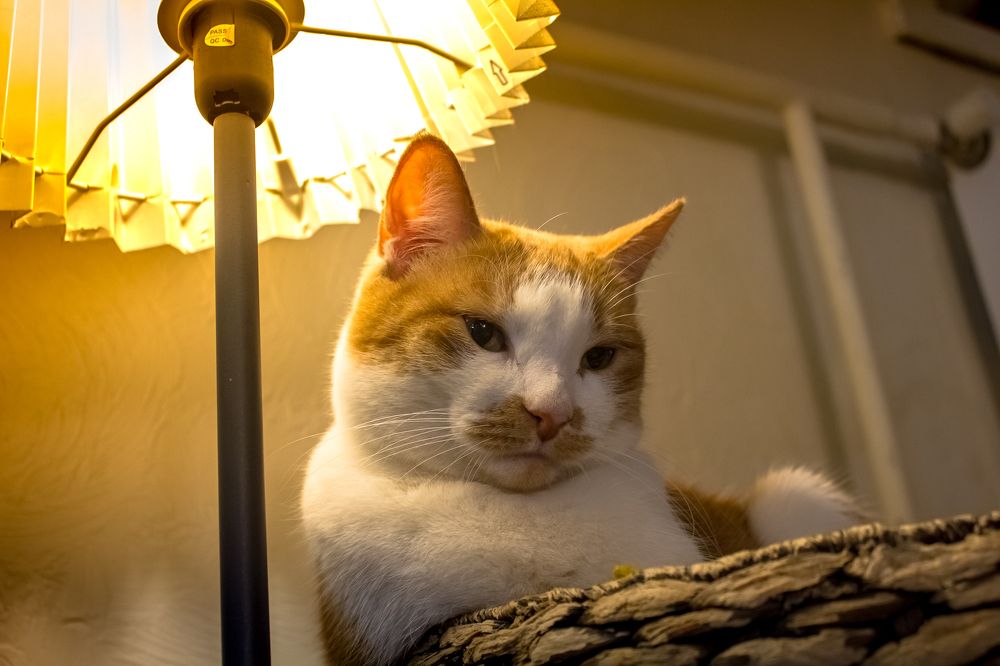 Photograph by Людмила Новосёлова