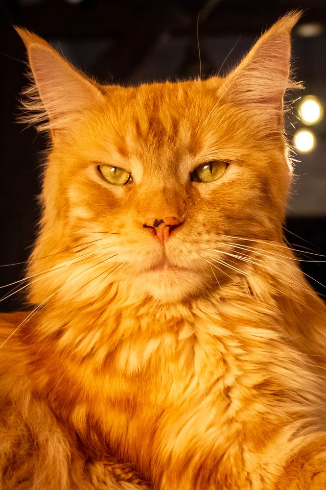 Photograph by Людмила Новосёлова