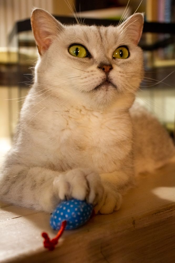 Photograph by Людмила Новосёлова