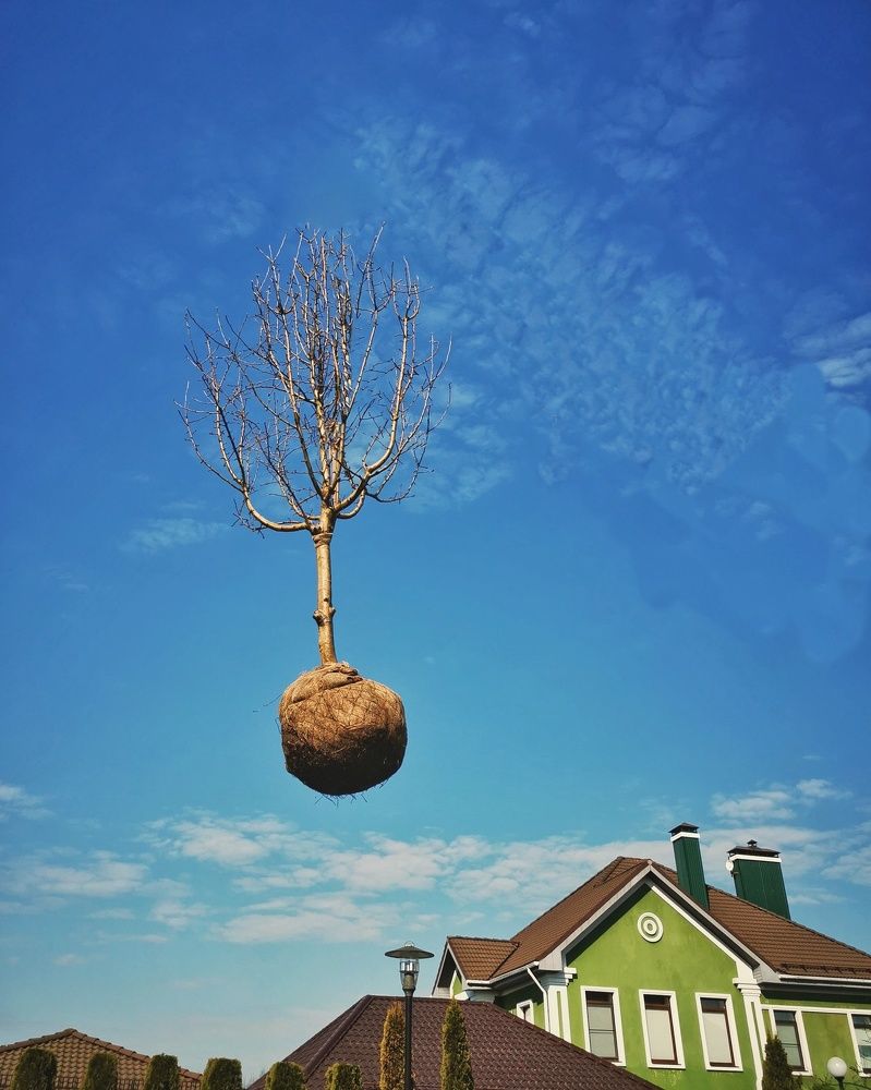 Photograph by Наталья Асоскова