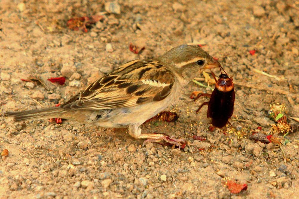 Photograph by mehdi karimi souderjani