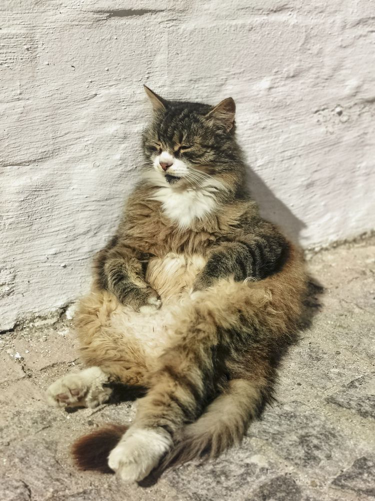 Photograph by Наталья Асоскова