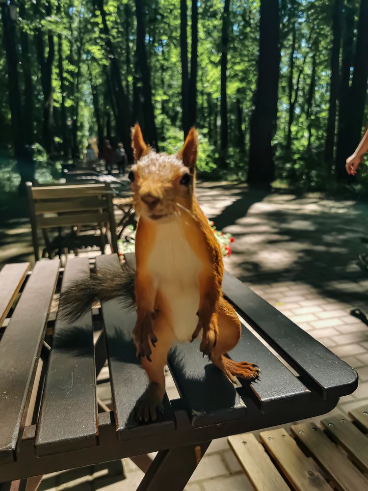 Photograph by Наталья Асоскова