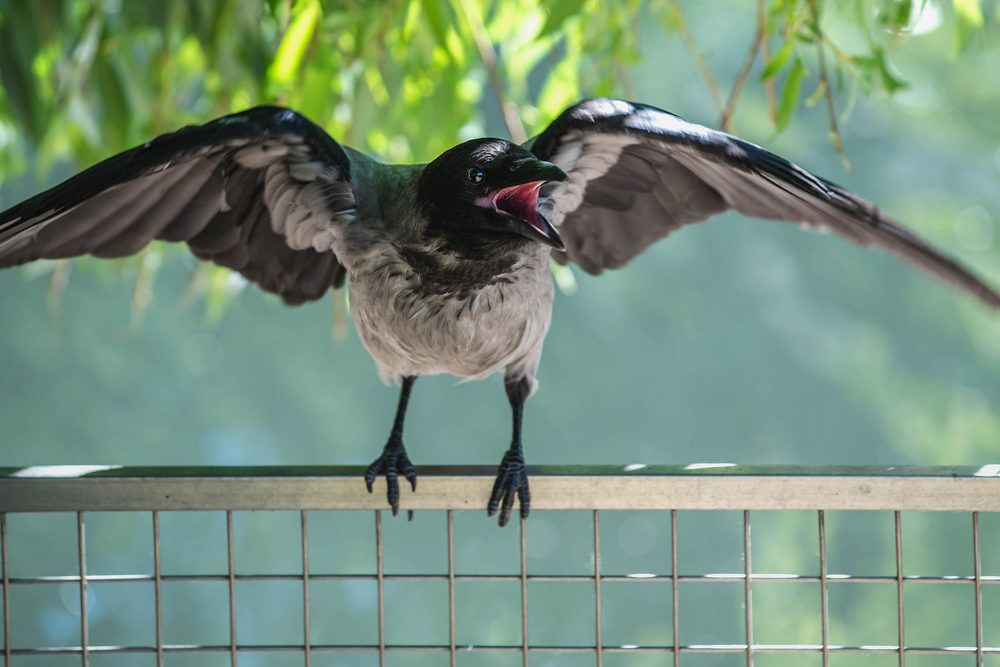 Это моё место!