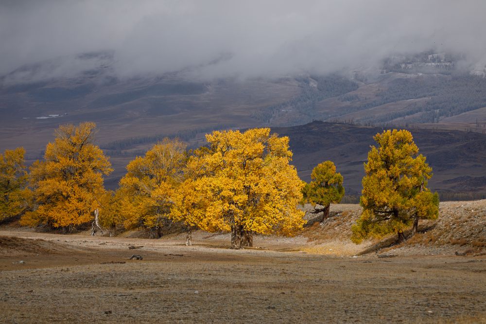 Photograph by Мария Казакова