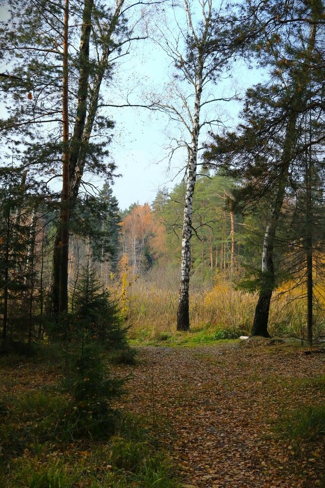 Photograph by Гагик Саркисян