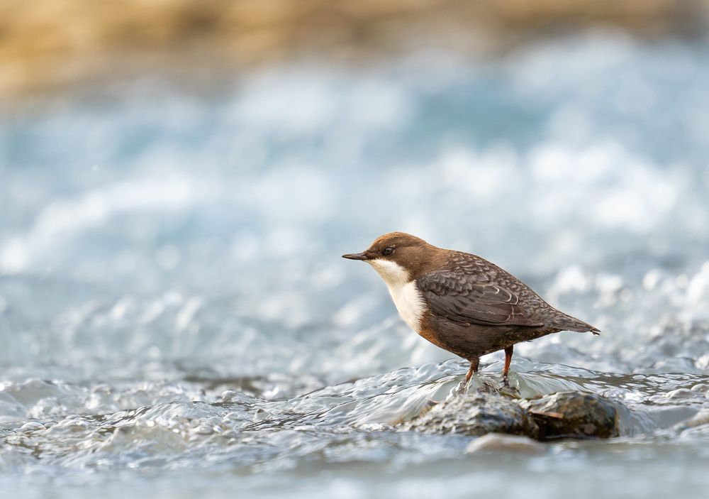 Photograph by Murru Matteo