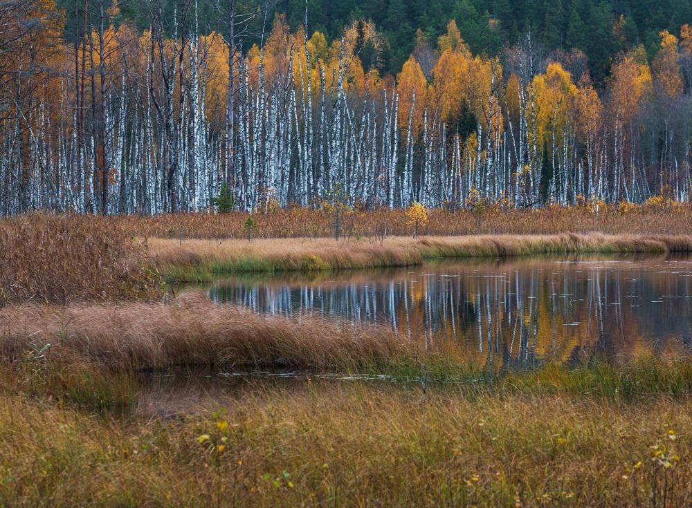 Photograph by Крицак Ольга