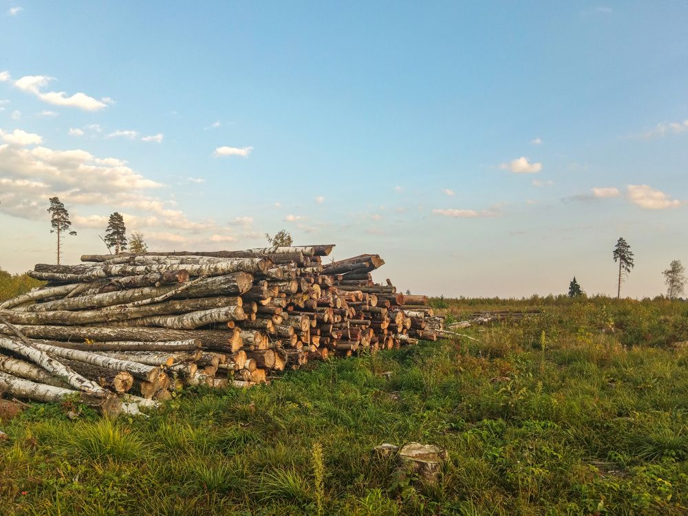 Photograph by Игорь Грашин