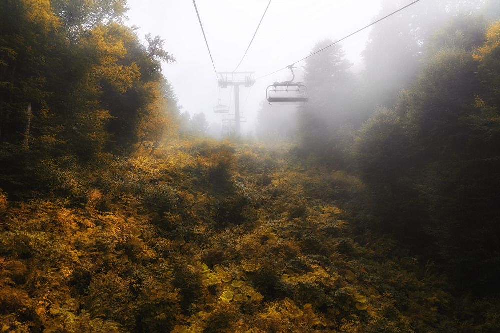 Photograph by Андрей Ныриков