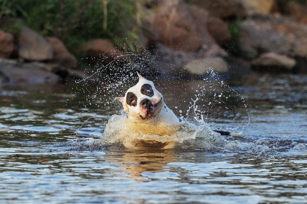 Photograph by Илья Юфа