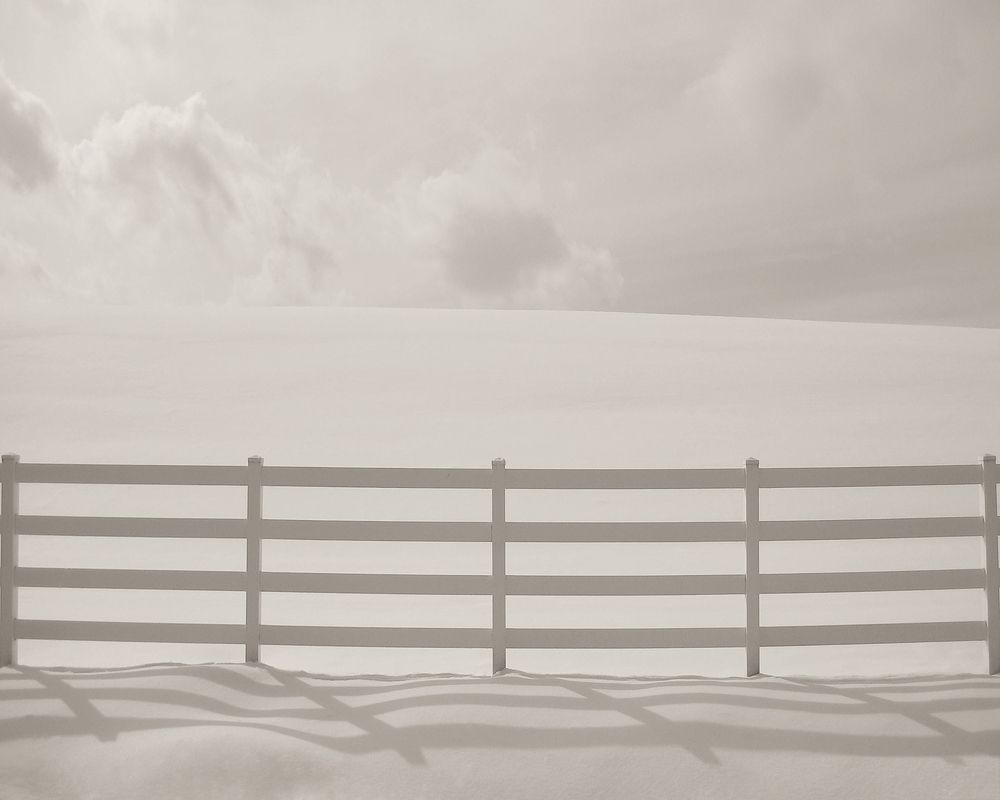 Photograph by Natalie Cartz