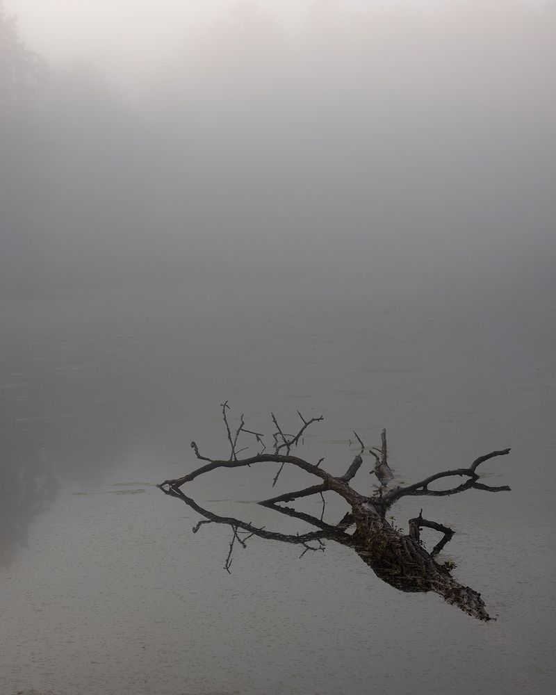 Photograph by Natalie Cartz