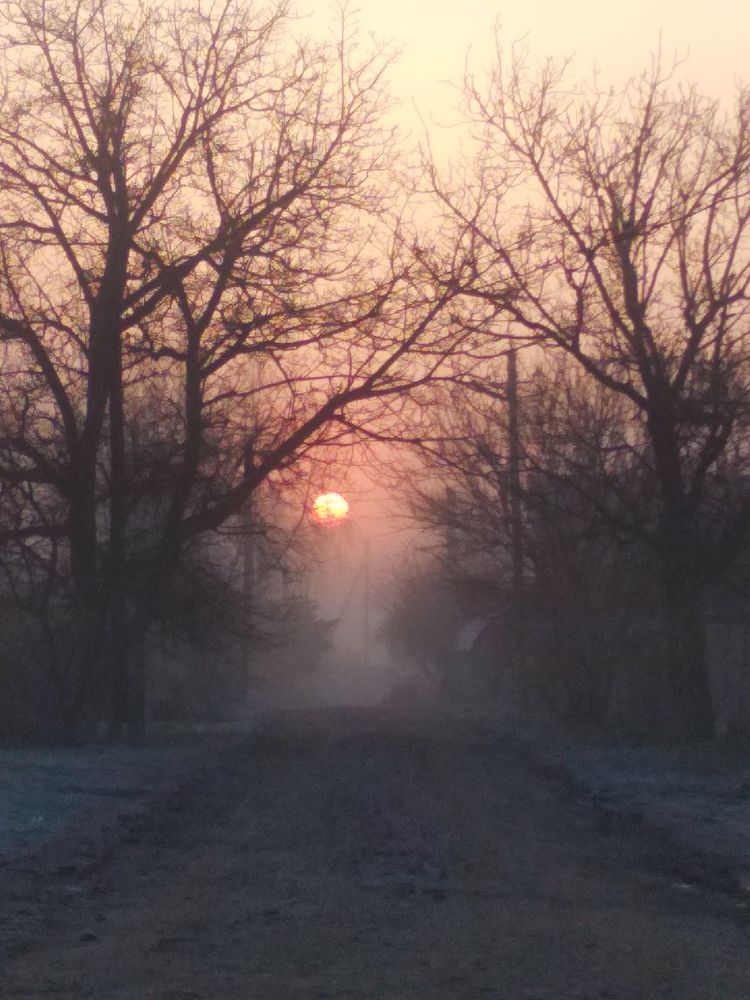 Photograph by Дарья Зотова