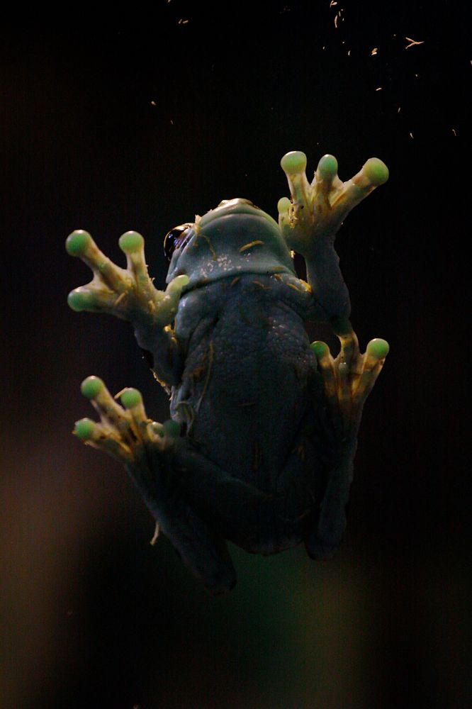 Photograph by Наталья Островцева