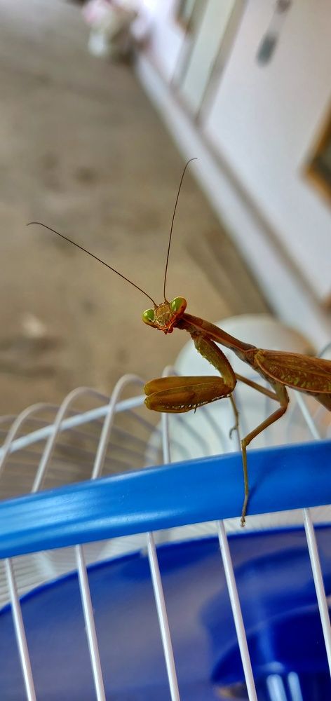 Photograph by Наталья Корнеева