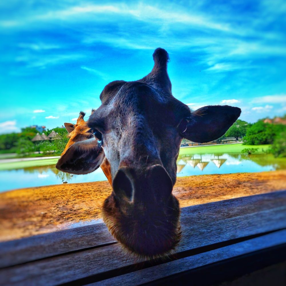 Photograph by Aref rafiepour