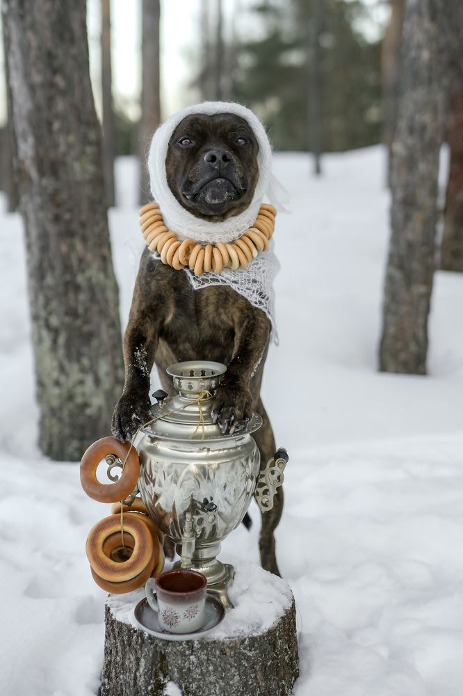 Photograph by Марина Суздаль