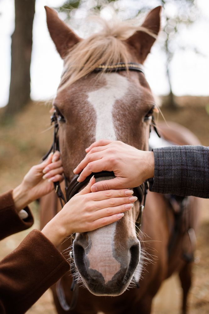 Photograph by Леонид Торговцев