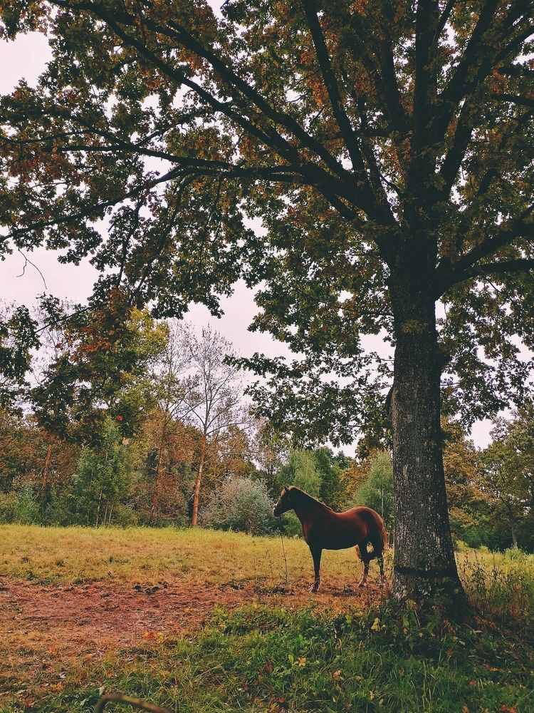 Photograph by Владислава Коледёнок