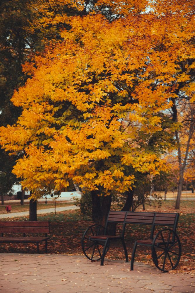 Photograph by Ирина Панкова