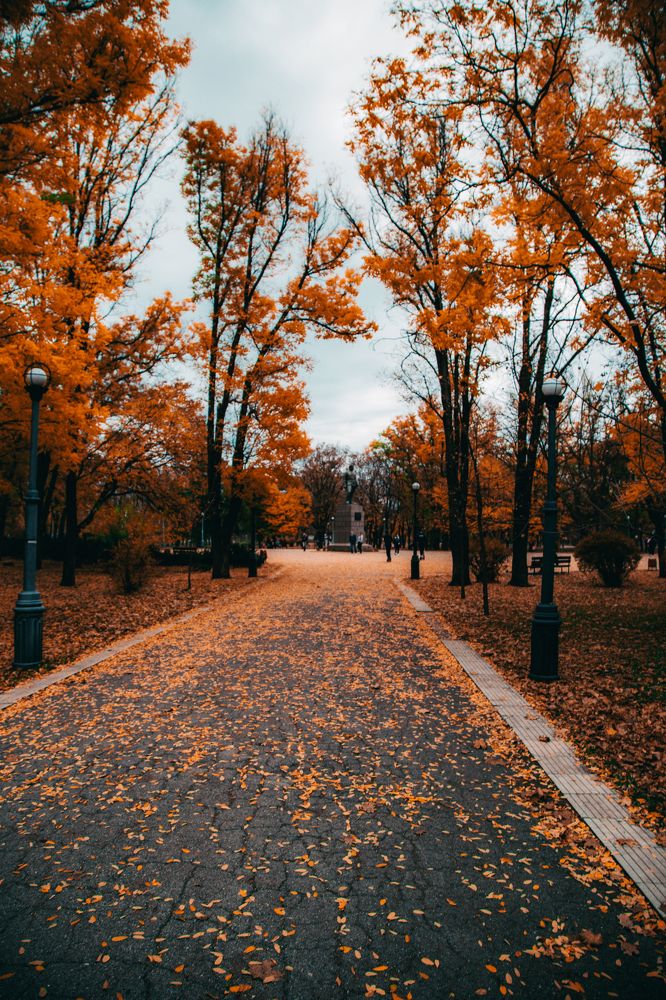 Photograph by Ирина Панкова