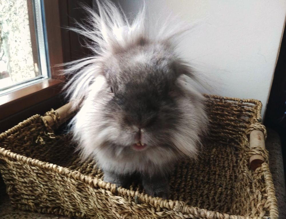 Photograph by Тимур Хохоев