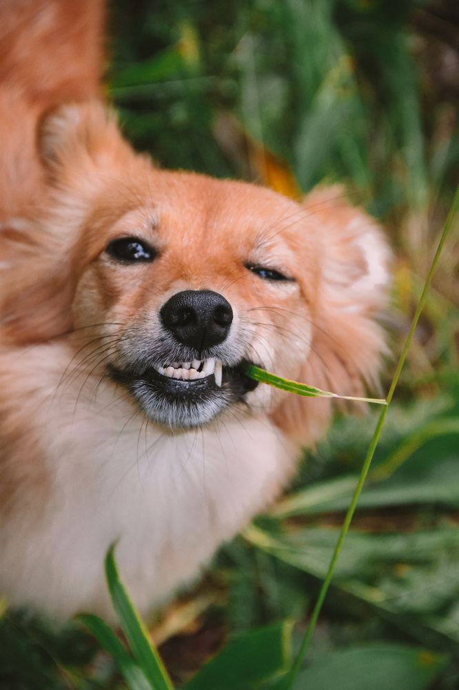 Photograph by Валерия Гуртовая