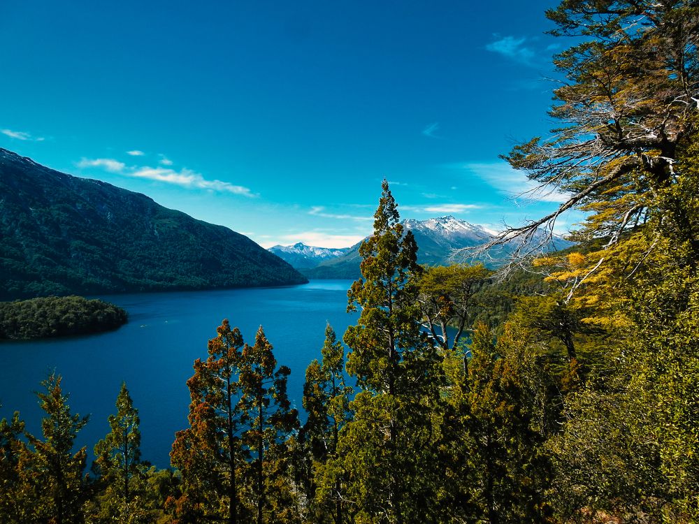 Фотография автора Leonardo Cobelas