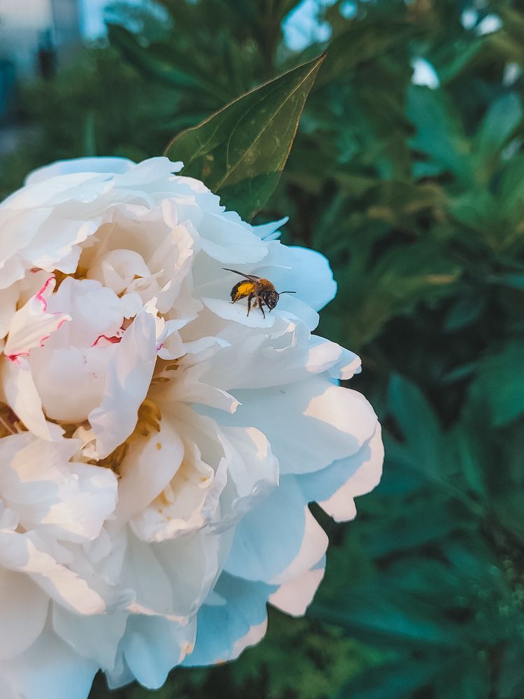 Photograph by Валерия Гуртовая