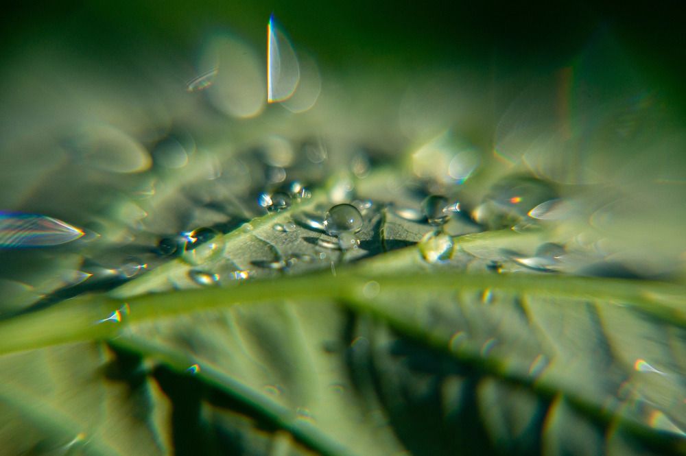 Photograph by Елизавета Корнилова