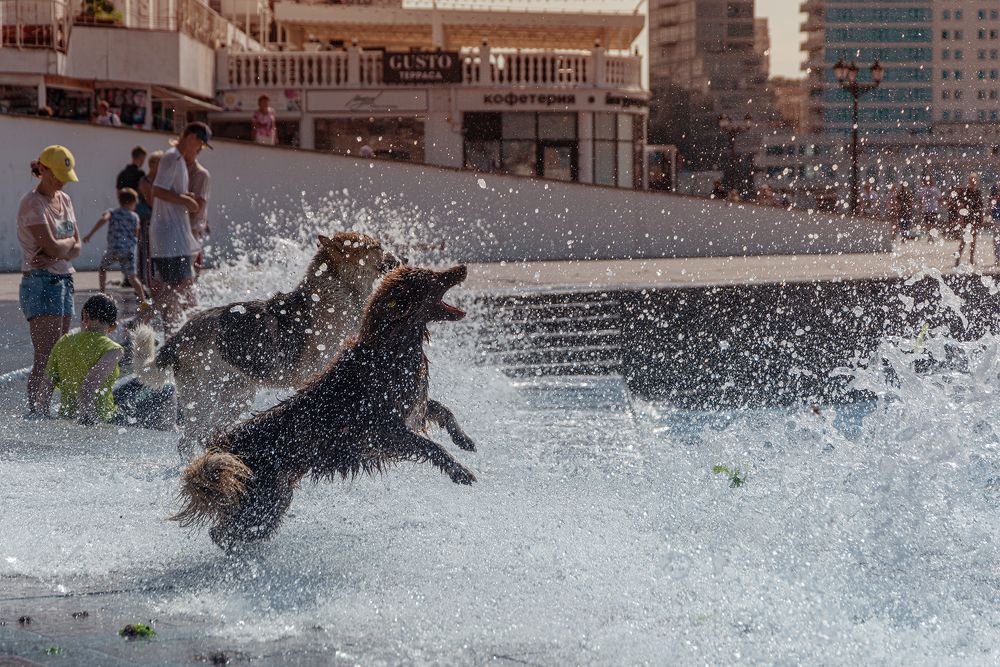 Водная феерия