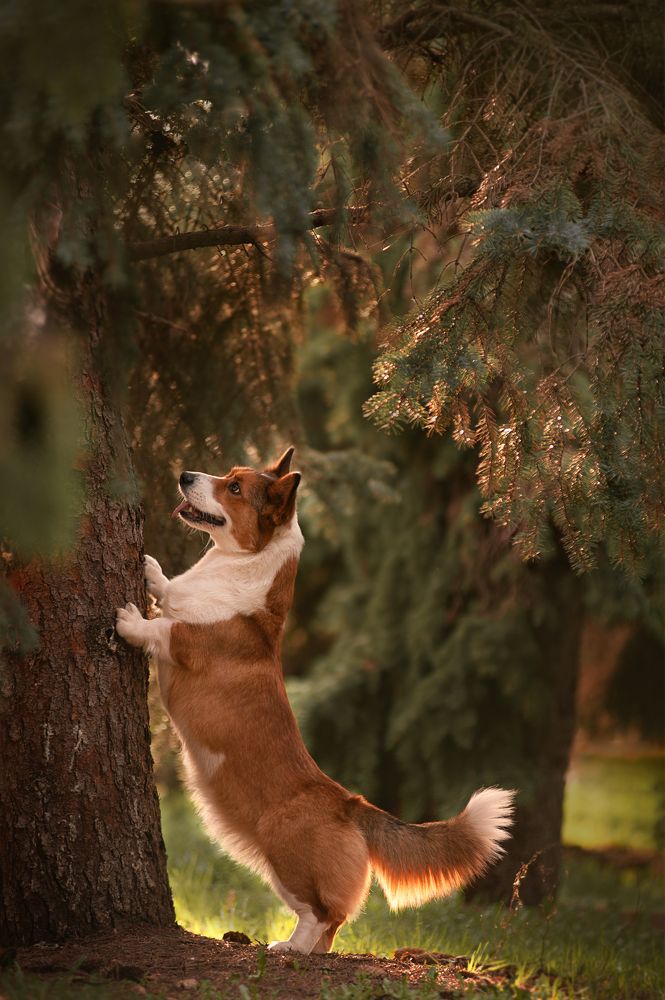 Photograph by Алина