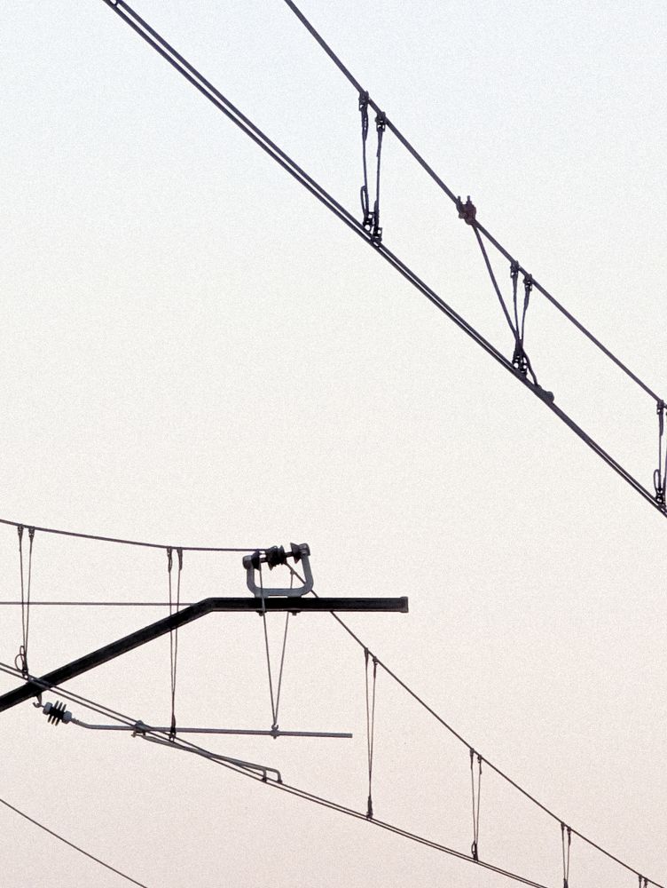 Photograph by Rafael Pleguezuelos