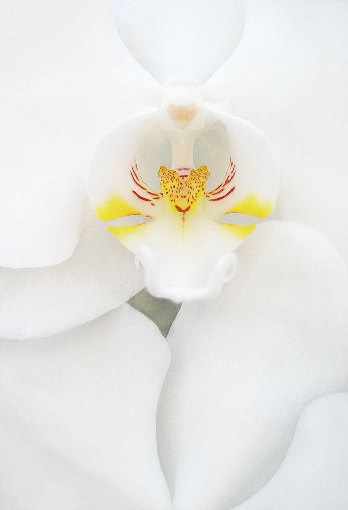 Photograph by Natalie Cartz