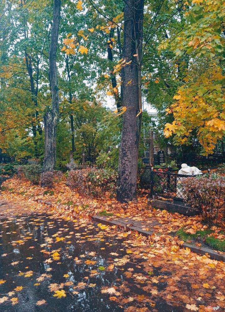 Смоленское кладбище