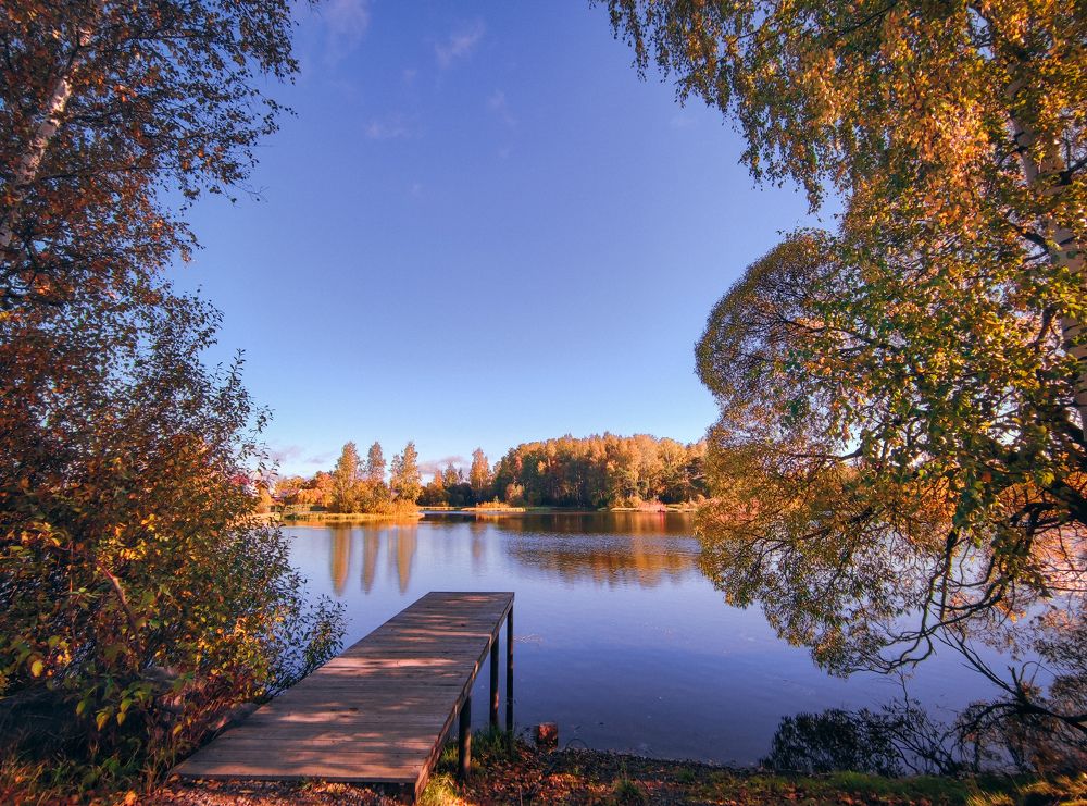 Photograph by Дмитрий Малышев