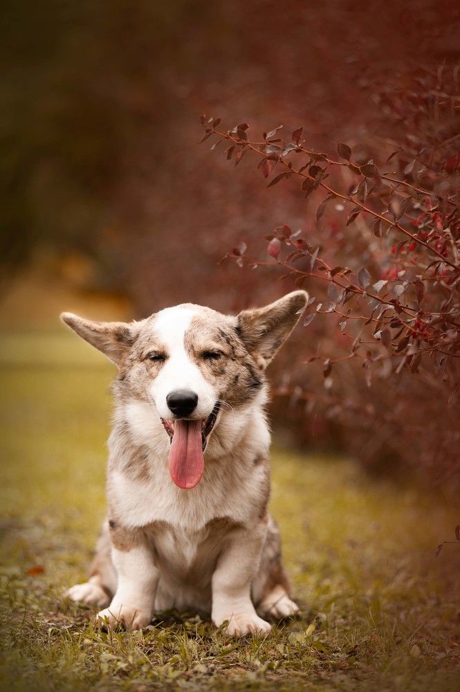 Photograph by Алина