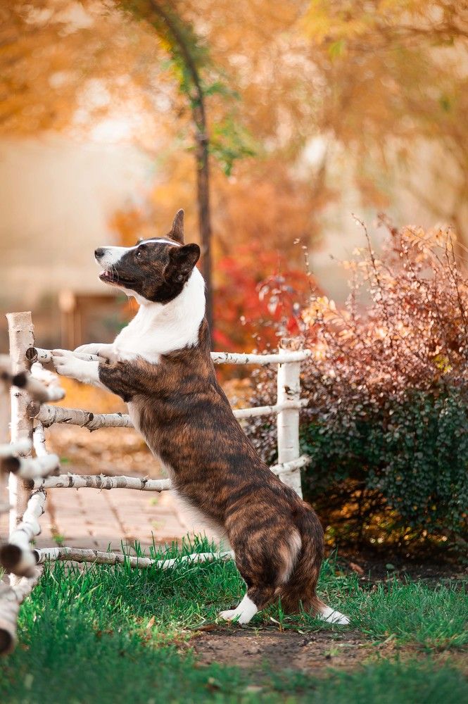 Photograph by Алина