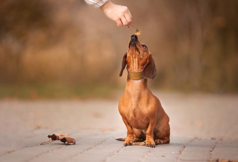 Photograph by Алина