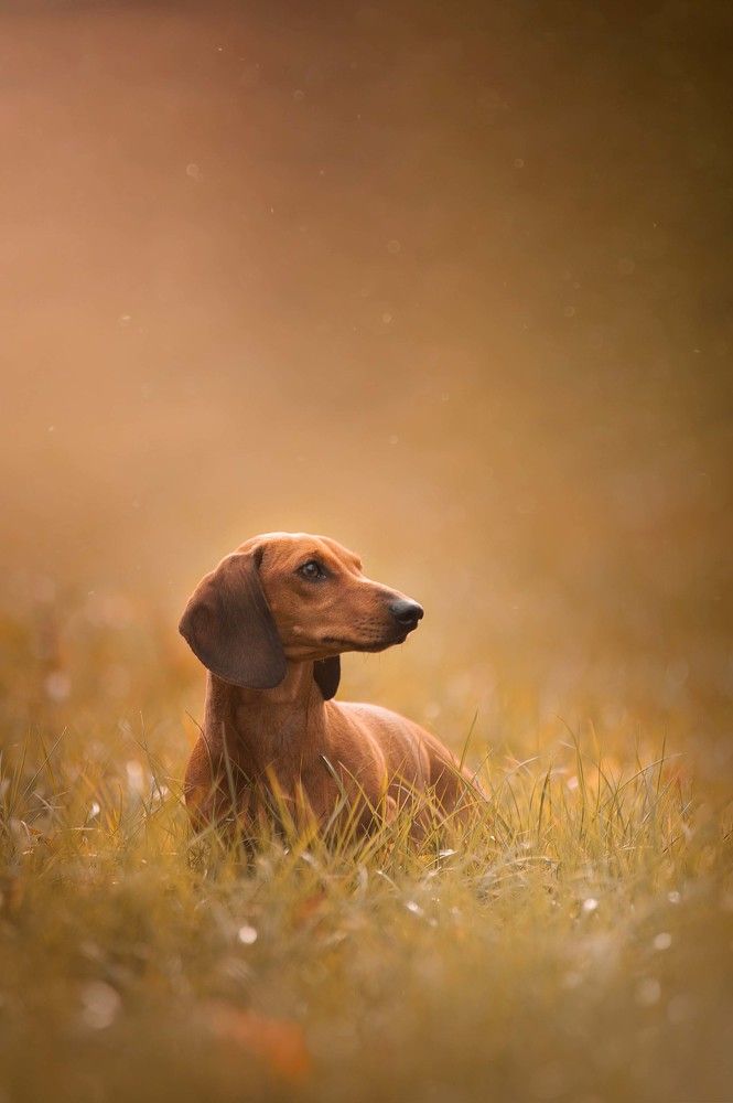 Photograph by Алина