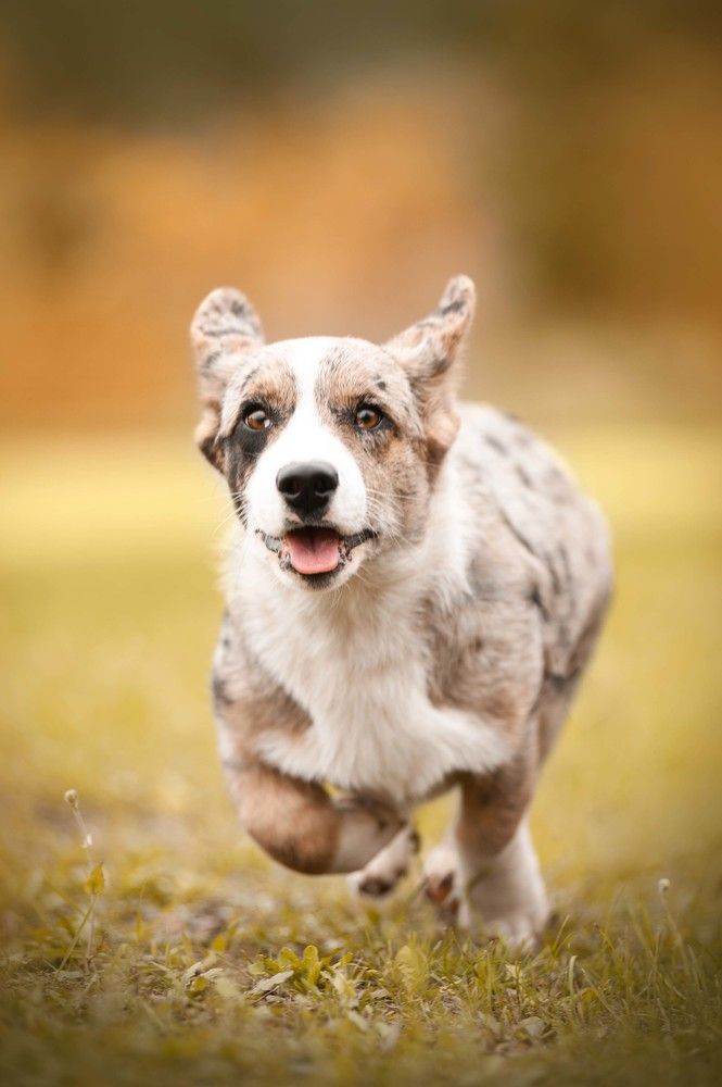 Photograph by Алина