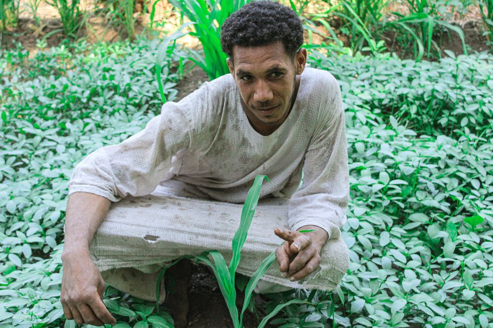 Фотография автора Youssef Ahmed