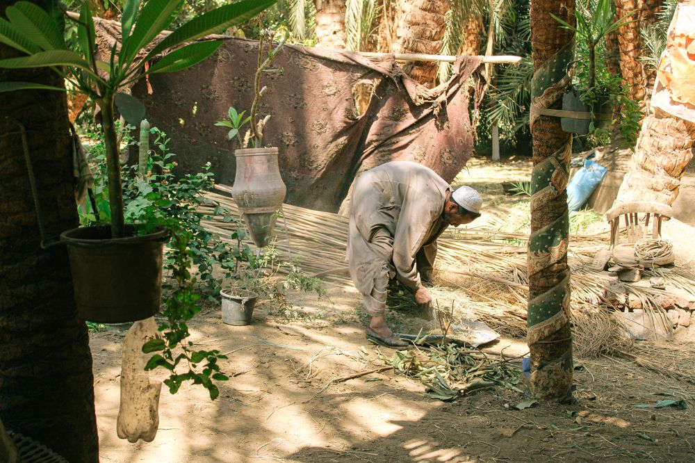 Фотография автора Youssef Ahmed