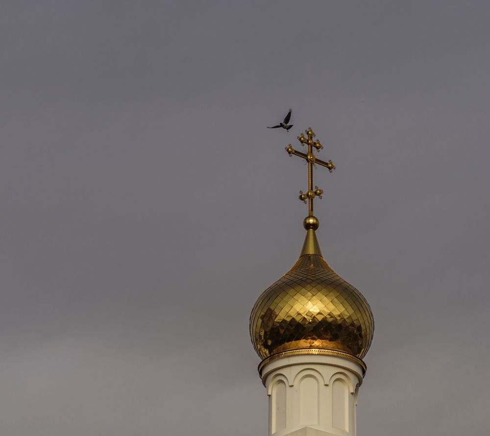 Photograph by Сергей Нестеров