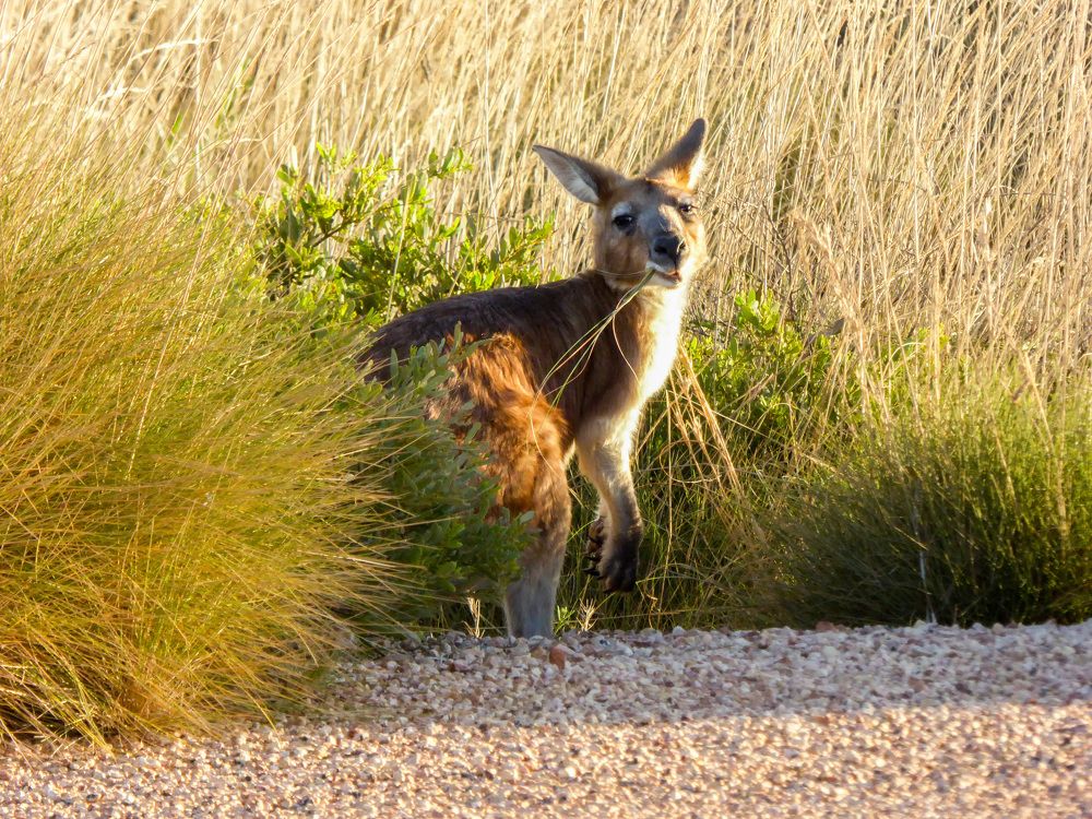 Photograph by Анатолий Костерев