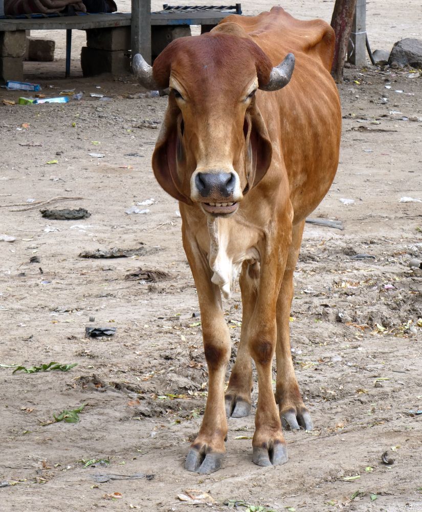 Photograph by Анатолий Костерев