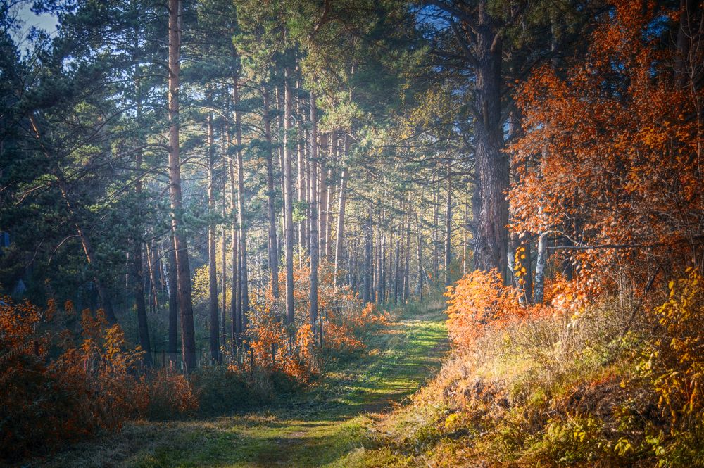 Photograph by Кирилл Богомазов