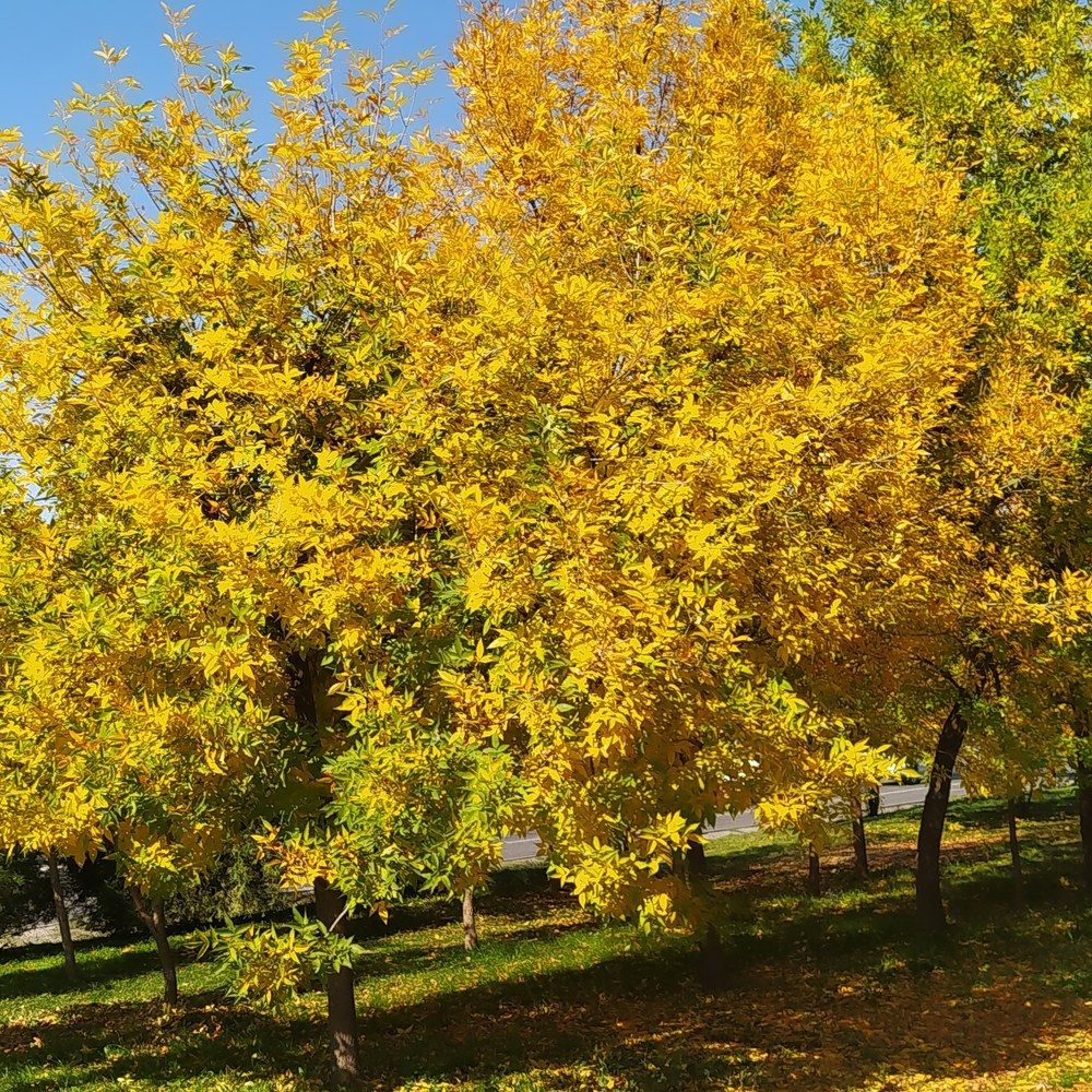 Photograph by Аспан